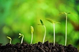 spiritual-growth-rev
